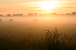 Zonsopkomst.