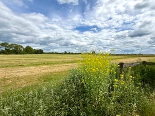 Diverse wolkenvelden boven de landschappen 