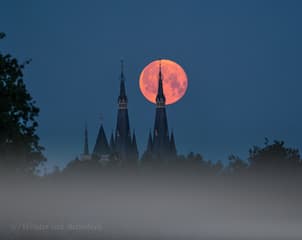 Volle maan in de ochtend 