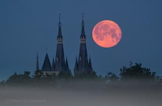 Rode volle maan