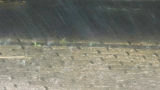 Stortbui 