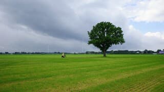 Buienlucht, wind en wat opklaringen 