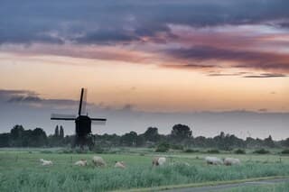 En de zandwijkse molen om 5:40