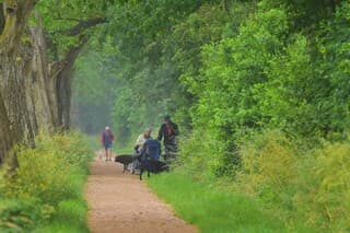 Schuilen onder het groen voor de bui
