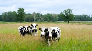 Droog en tussen de buien door was het even droog