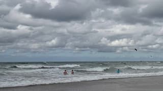 Zeezwemmers in weer en wind
