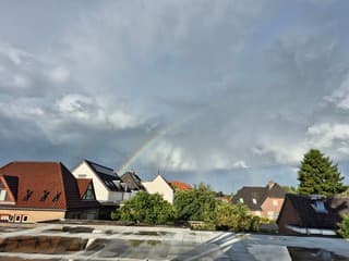 Regenboog 