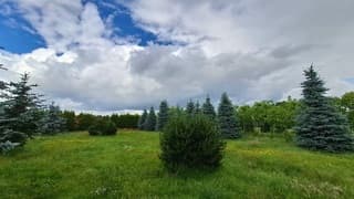 Wolken met opklaringen en ook een bui