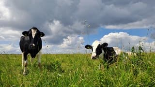 Wolken met regenbuien en ook af en toe zon