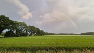 Regenboog