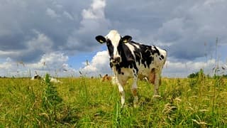 Ook de zon breekt tussen de wolken door