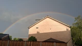 regenboog 