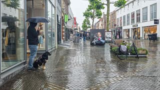 Regen - veel paraplus