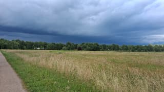boze wolk 