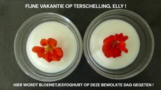 Vanmiddag !