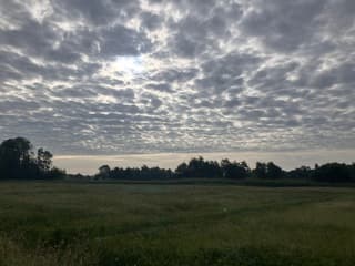 Wolkjes 