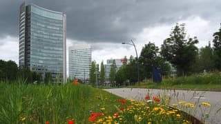 WOLKEN 
