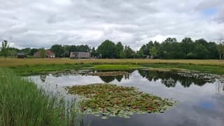 Bewolkt en windstil