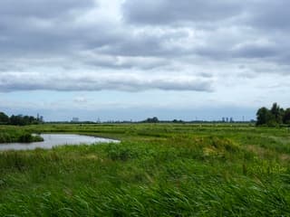De skyline van Rotterdam vanaf de Ackerdijkse plassen 