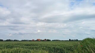 Hollands landschap