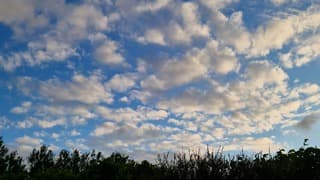 Goedemorgen Texel!