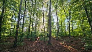 Zonnige groet uit Sonnega
