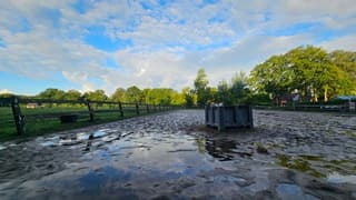 Natte paardenbak 