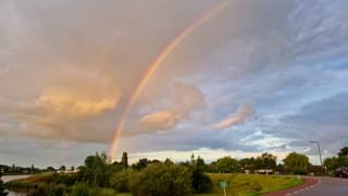 Regenboog 