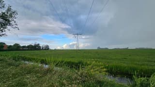 Scheidingslijn 