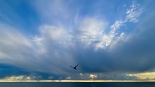 Zonsopkomst IJsselmeer 