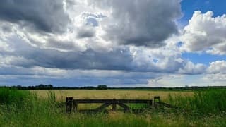 Wolken maar ook af en toe zon