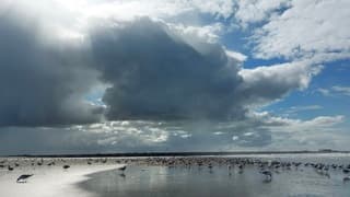 Donkere wolken 