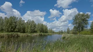 Aanloop voor de zomer