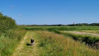 Heerlijk wandelweer!
