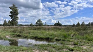 Plassen en stapelwolken