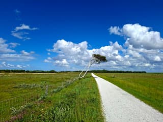 EEN WINDERIG SCHIERMONNIKOOG 
