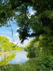 Draafsingel