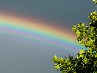 Detail regenboog