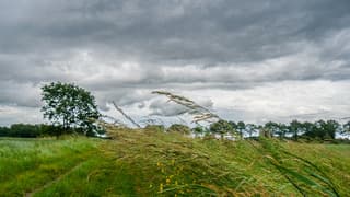 Zo af en toe stond er een stevige wind