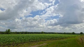 Steeds meer stapelwolken 
