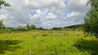 Steeds meer stapelwolken 