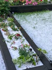 Hagel in Zwartewaal