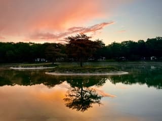 Ochtend rood zonsopkomst Maashorst 
