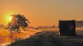 Zonsopkomst met mist 
