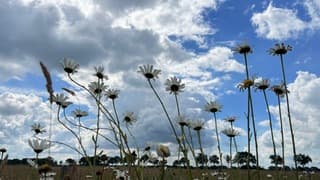 Wolken en zon wisselen elkaar af