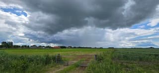 Regen!