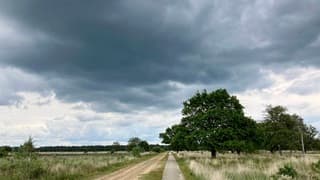 Onder de dreigende wolken is het best droog