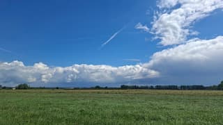 Bui vanochtend