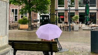 Regen paraplu