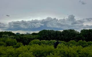 Een ratjetoe aan wolken, aankondiging van regen